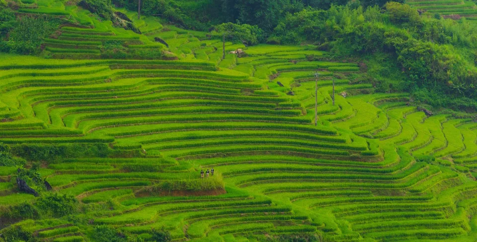 Kho gạo của Huỳnh Thư